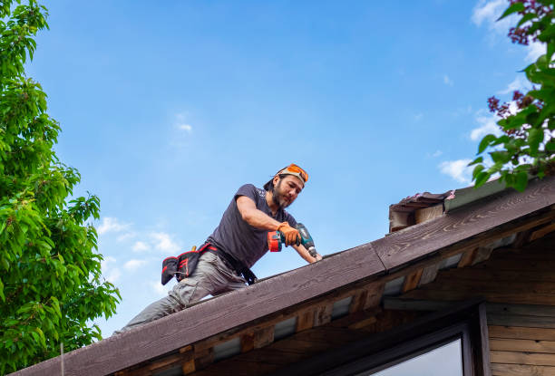 Best Roof Ventilation Installation  in Tifton, GA